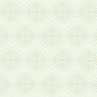 Starlight Wallpaper Wallpaper Antonina Vella Double Roll White/Warm Silver 