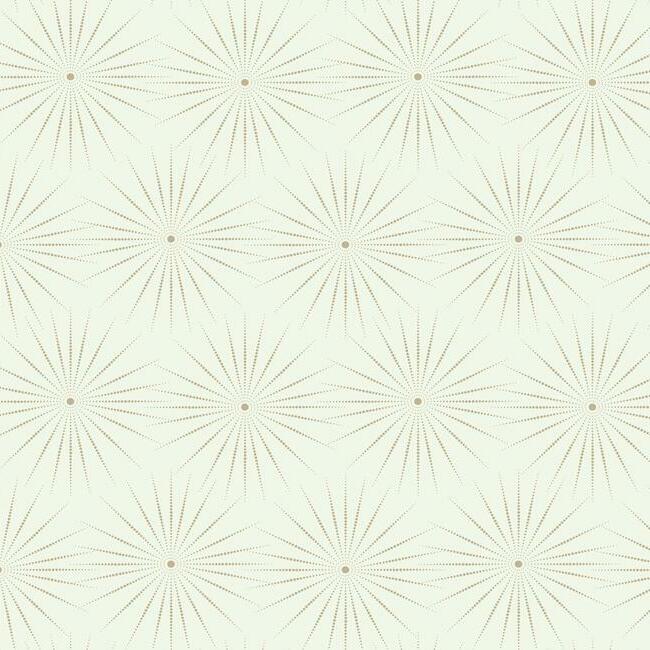 Starlight Wallpaper Wallpaper Antonina Vella Double Roll White/Warm Silver 