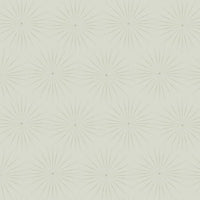 Starlight Wallpaper Wallpaper Antonina Vella Double Roll Grey/Glint 