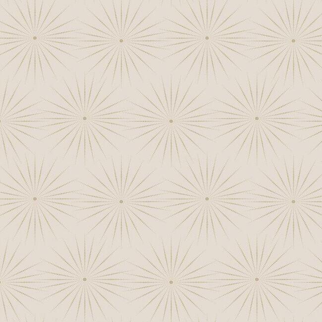 Starlight Wallpaper Wallpaper Antonina Vella Double Roll Blush/Glint 