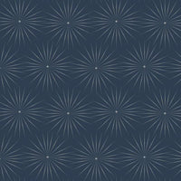 Starlight Wallpaper Wallpaper Antonina Vella Double Roll Navy/Silver 