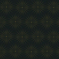 Starlight Wallpaper Wallpaper Antonina Vella Double Roll Black/Gold 