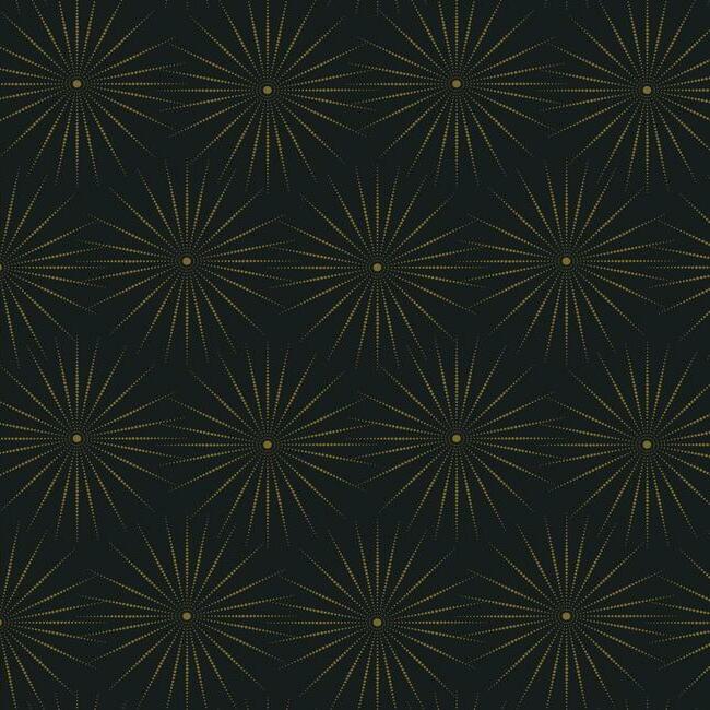Starlight Wallpaper Wallpaper Antonina Vella Double Roll Black/Gold 