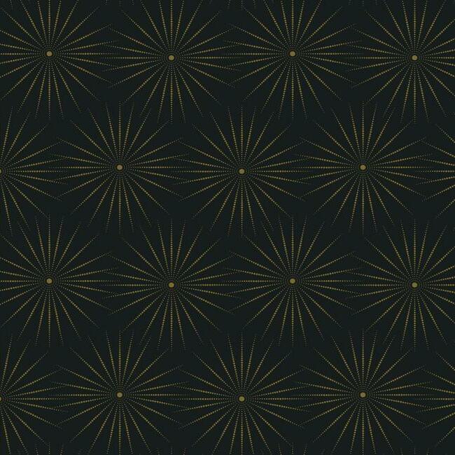 Starlight Wallpaper Wallpaper Antonina Vella Double Roll Black/Gold 