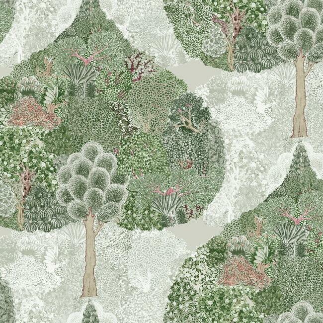 Mystic Forest Wallpaper Wallpaper Antonina Vella Double Roll Green/Coral 
