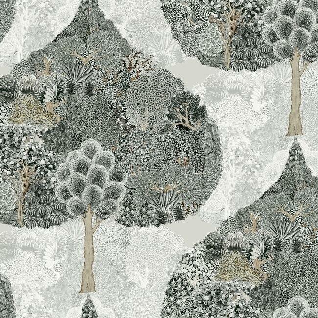 Mystic Forest Wallpaper Wallpaper Antonina Vella Double Roll Black 