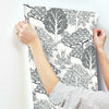 Kimono Trees Wallpaper Wallpaper York   