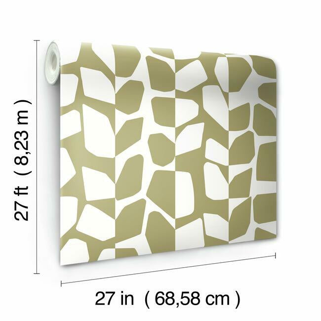 Primitive Vines Wallpaper Wallpaper York   