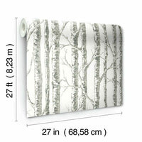 Paper Birch Wallpaper Wallpaper York   