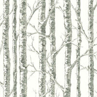 Paper Birch Wallpaper Wallpaper York Double Roll Neutral 