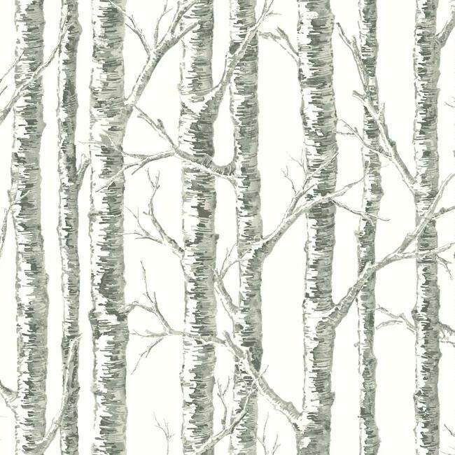 Paper Birch Wallpaper Wallpaper York Double Roll Neutral 