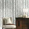 Paper Birch Wallpaper Wallpaper York   