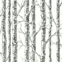 Paper Birch Wallpaper Wallpaper York Double Roll Black/White 
