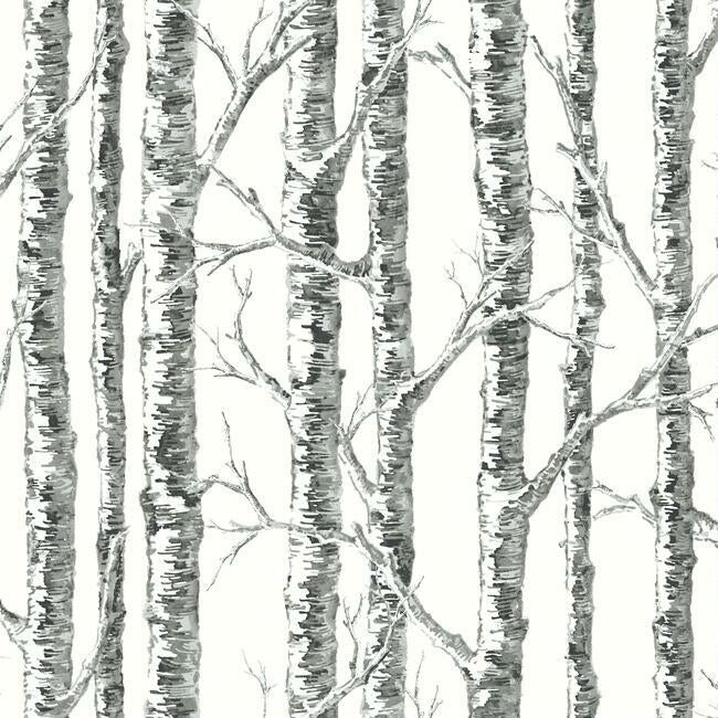 Paper Birch Wallpaper Wallpaper York Double Roll Black/White 