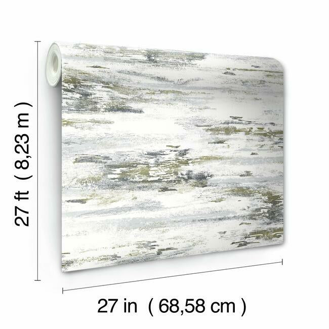 Birch Bark Texture Wallpaper Wallpaper York   