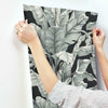 Banana Leaf Wallpaper Wallpaper York   