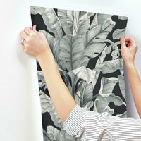 Banana Leaf Wallpaper Wallpaper York   