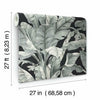 Banana Leaf Wallpaper Wallpaper York   