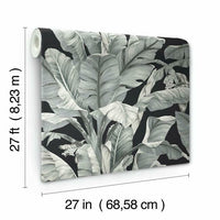 Banana Leaf Wallpaper Wallpaper York   