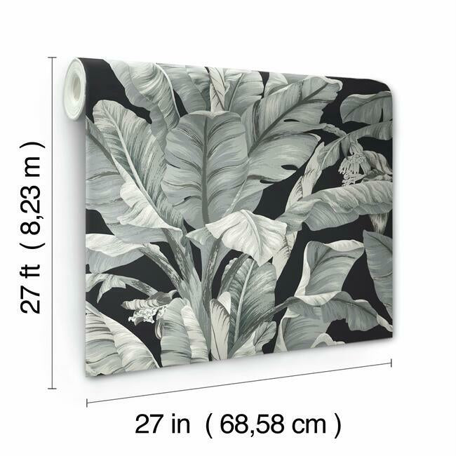 Banana Leaf Wallpaper Wallpaper York   