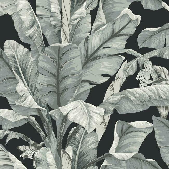 Banana Leaf Wallpaper Wallpaper York Double Roll Black/Neutral 