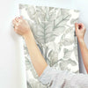 Banana Leaf Wallpaper Wallpaper York   