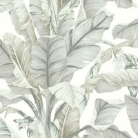 Banana Leaf Wallpaper Wallpaper York Double Roll Light Neutral 