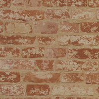 Up the Wall Wallpaper Wallpaper York Double Roll  