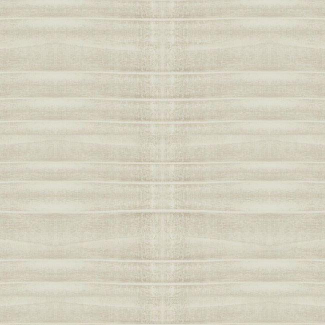Grey Stone Wallpaper Wallpaper Carol Benson-Cobb Double Roll Desert 