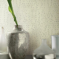 Star Struck Wallpaper Wallpaper Candice Olson   