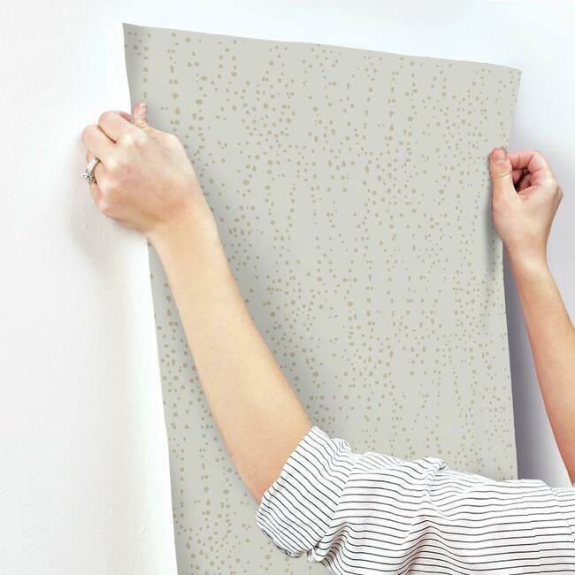 Star Struck Wallpaper Wallpaper Candice Olson   