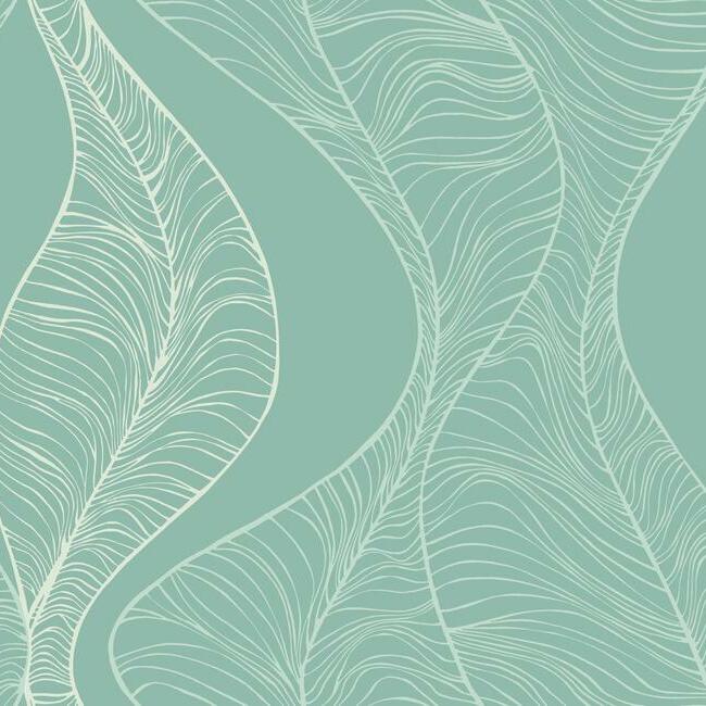 Hoopla Wallpaper Wallpaper Candice Olson Double Roll Teal 