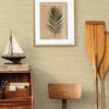 Arrowroot Wallpaper Wallpaper York   