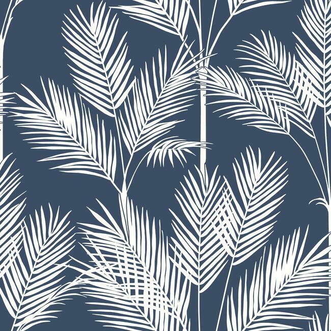 King Palm Silhouette Wallpaper Wallpaper York   