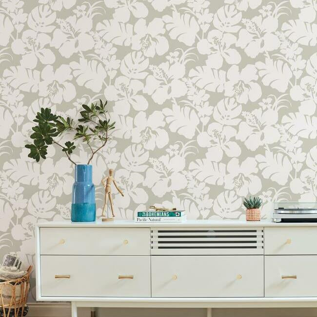 Hibiscus Arboretum Wallpaper Wallpaper York   