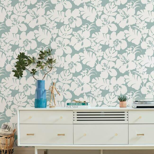 Hibiscus Arboretum Wallpaper Wallpaper York   
