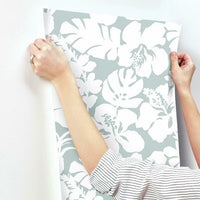 Hibiscus Arboretum Wallpaper Wallpaper York   