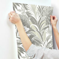 Palm Silhouette Wallpaper Wallpaper York   