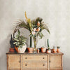 Congas Stripe Wallpaper Wallpaper York   