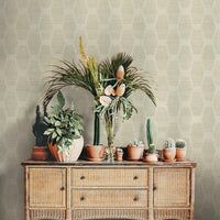 Congas Stripe Wallpaper Wallpaper York   