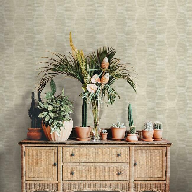 Congas Stripe Wallpaper Wallpaper York   