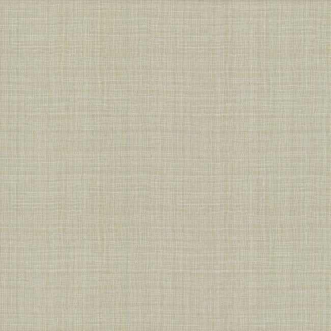 Caprice High Performance Wallpaper High Performance Wallpaper York Double Roll Milky Way Cream 