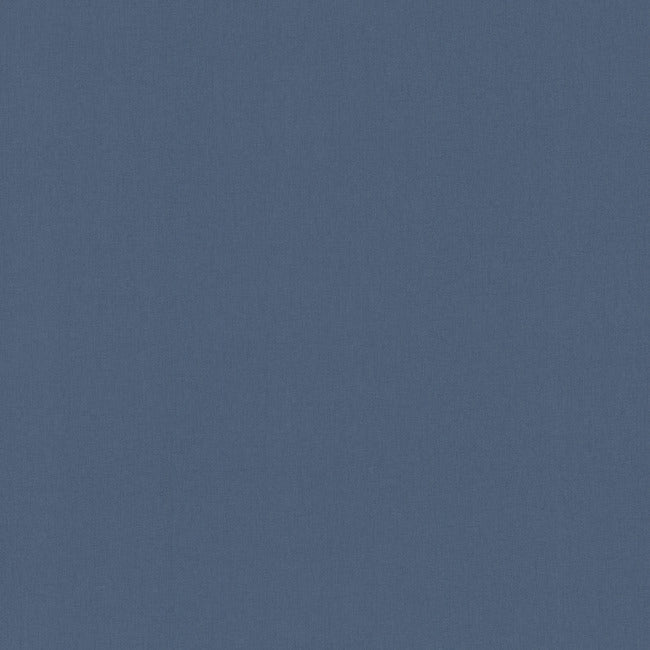 Gypsy Weave Wallpaper Wallpaper Carol Benson-Cobb Double Roll Indigo 