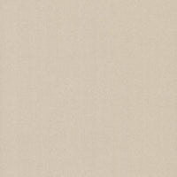 Gypsy Weave Wallpaper Wallpaper Carol Benson-Cobb Double Roll Champagne 