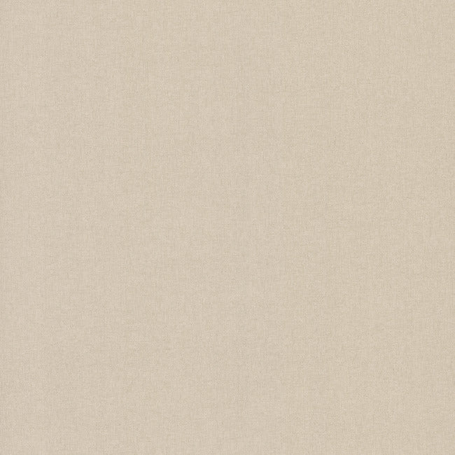 Gypsy Weave Wallpaper Wallpaper Carol Benson-Cobb Double Roll Champagne 