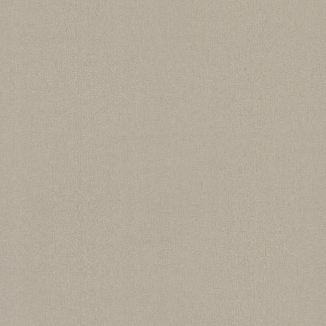 Gypsy Weave Wallpaper Wallpaper Carol Benson-Cobb Double Roll Fossil 