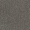 Weathered Cypress Wallpaper Wallpaper Antonina Vella Double Roll Warm Silver 