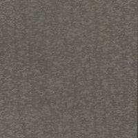 Weathered Cypress Wallpaper Wallpaper Antonina Vella Double Roll Warm Silver 