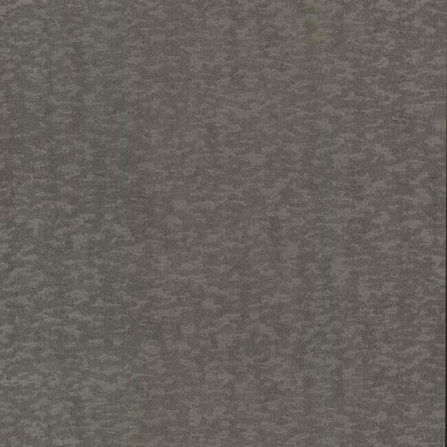 Weathered Cypress Wallpaper Wallpaper Antonina Vella Double Roll Warm Silver 