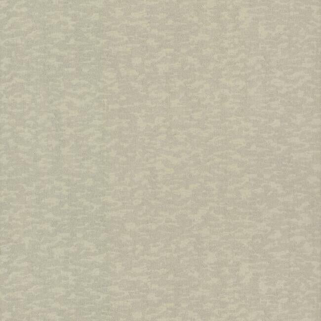 Weathered Cypress Wallpaper Wallpaper Antonina Vella Double Roll Taupe 